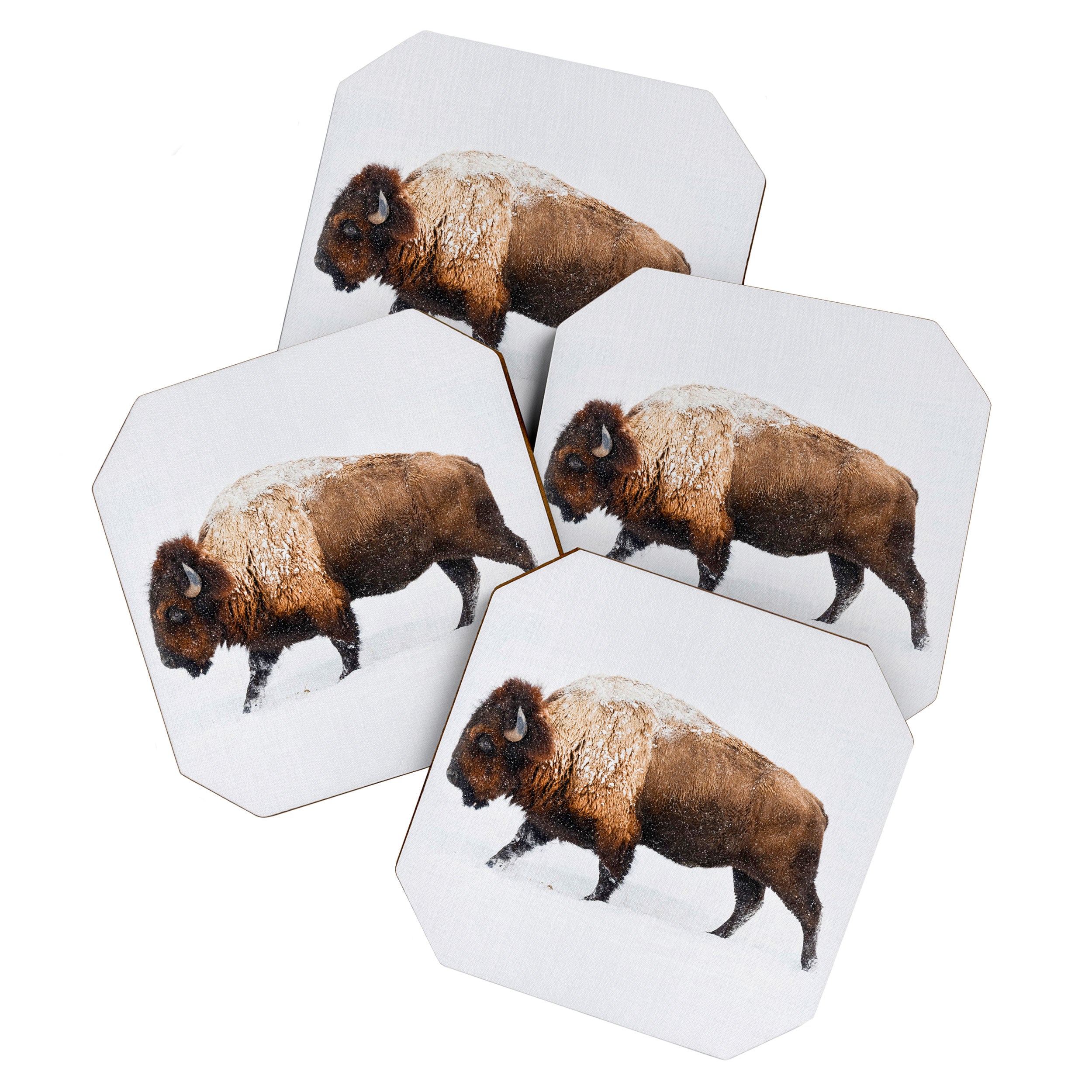 Buffalo In The Snow Coaster Gallery Image 1