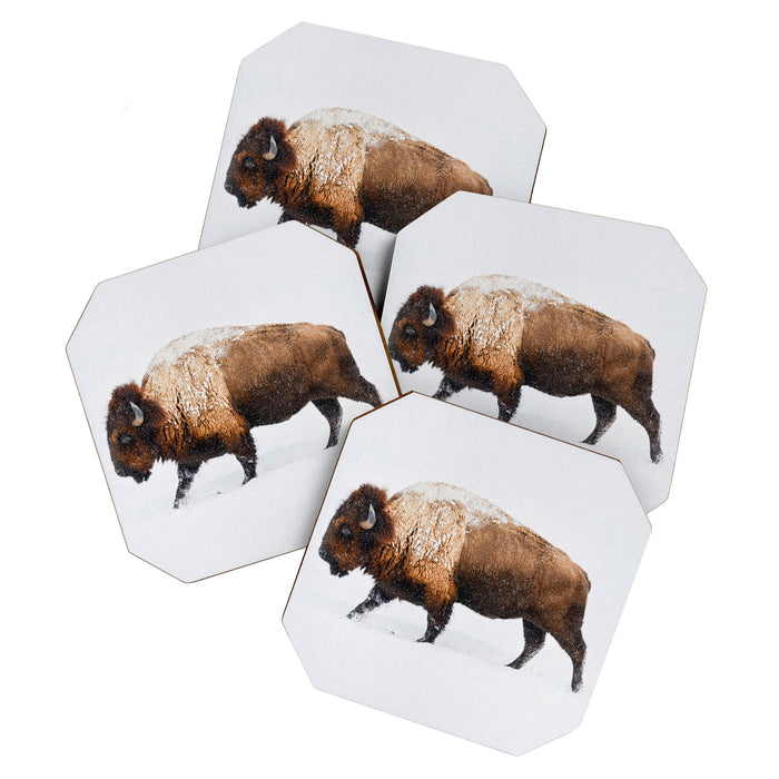 Buffalo In The Snow Coaster Gallery Image 1