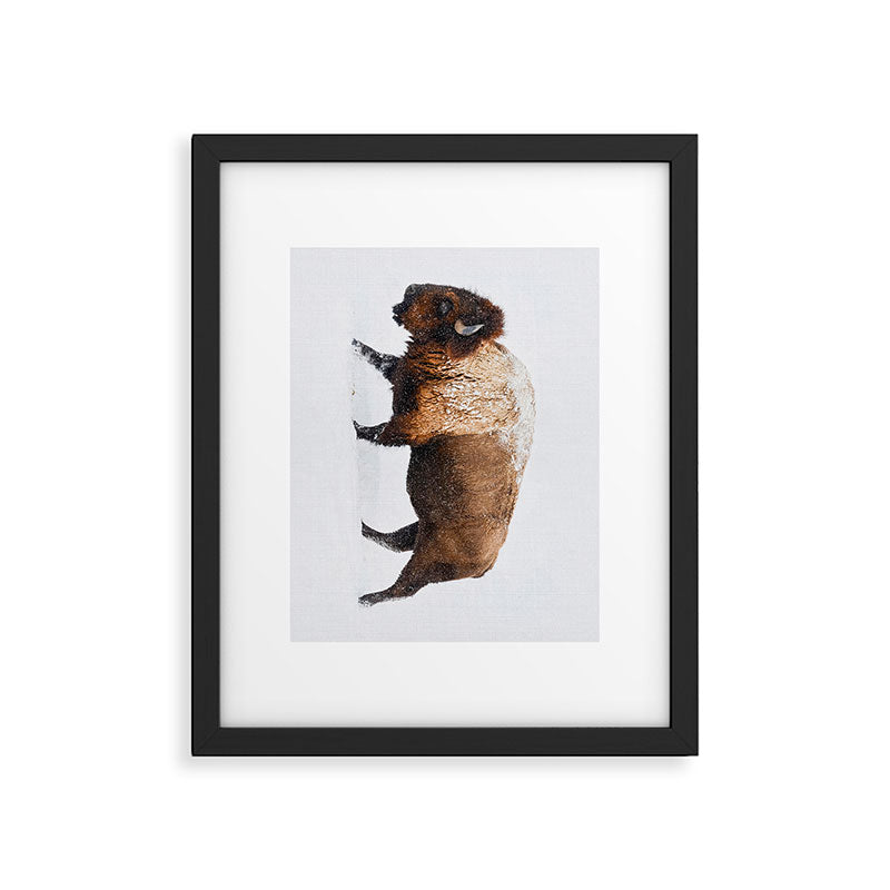 Buffalo In The Snow Framed Art Print Gallery Image 5