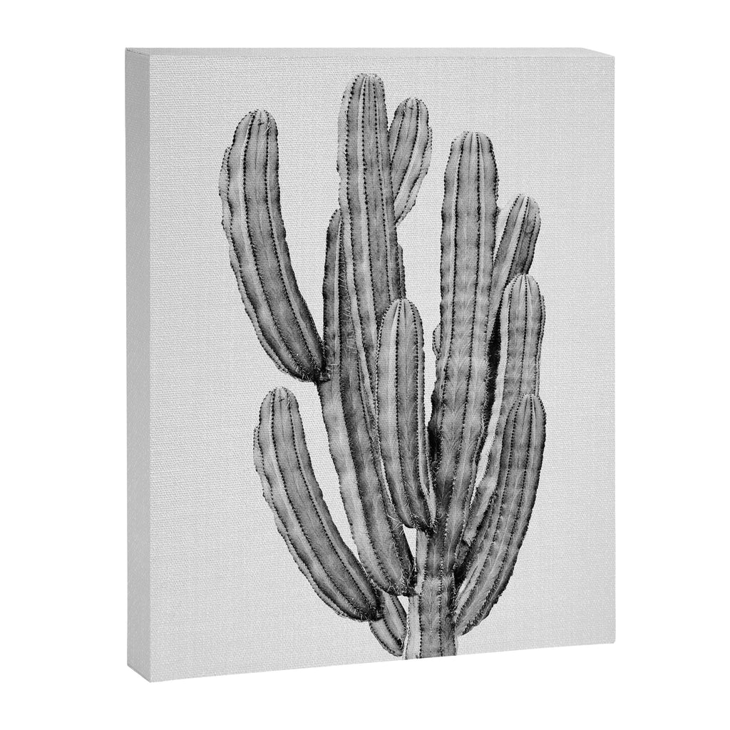 Cactus 3 - Black & White Canvas Print Gallery Image 6