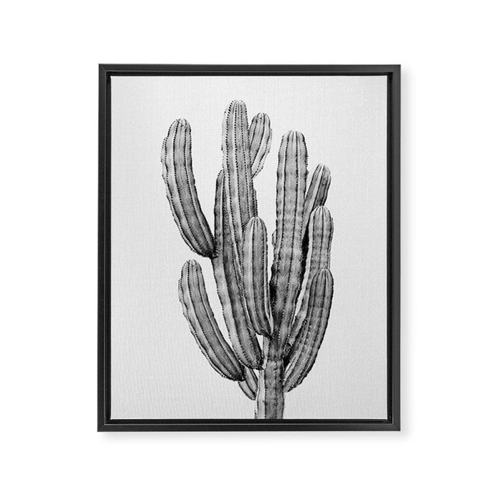 Cactus 3 - Black & White Framed Canvas Print Gallery Image 1