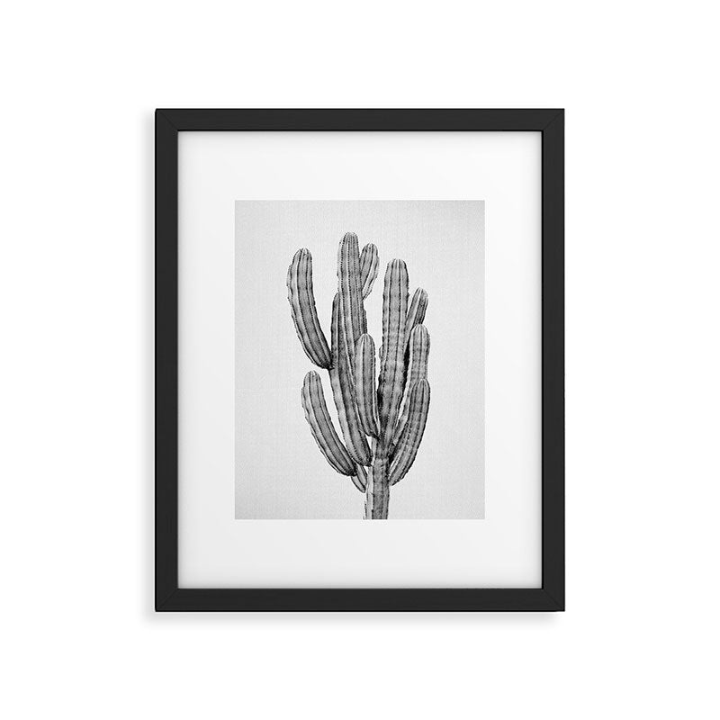 Cactus 3 - Black & White Framed Art Print Gallery Image 5