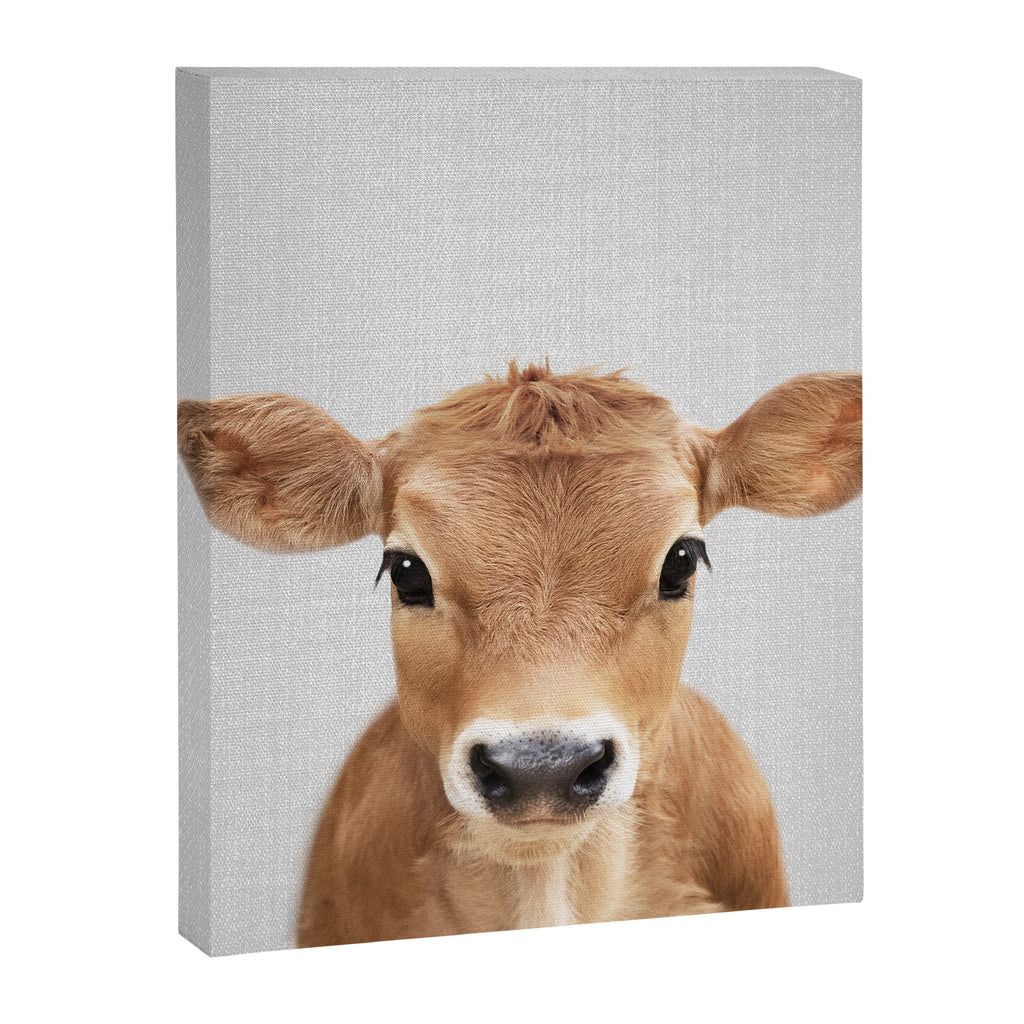 Calf - Colorful Canvas Print Gallery Image 8