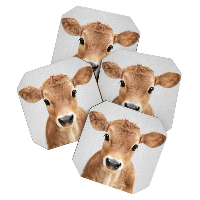 Calf - Colorful Coaster Gallery Image 1