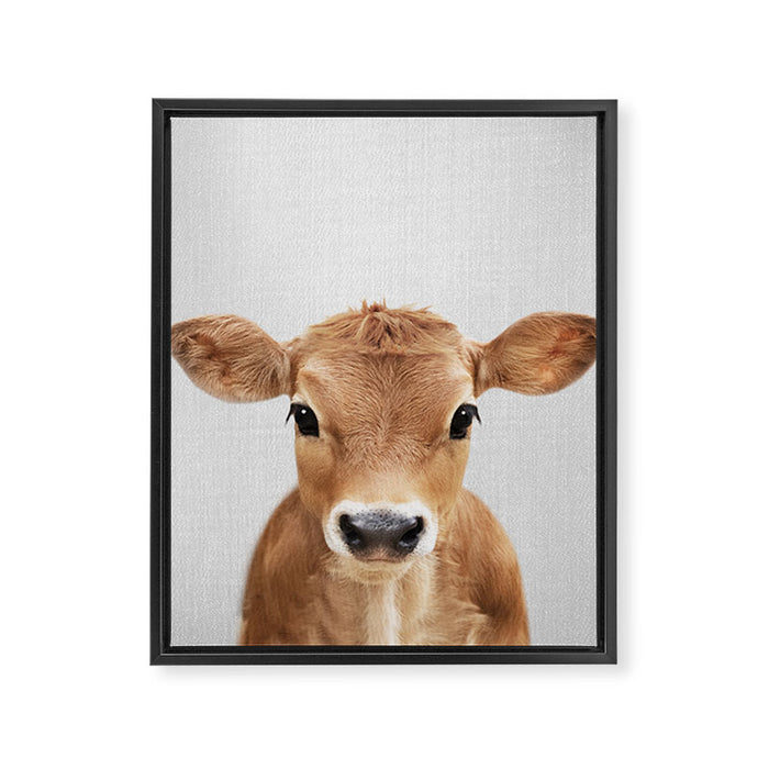 Calf - Colorful Framed Canvas Print Gallery Image 1