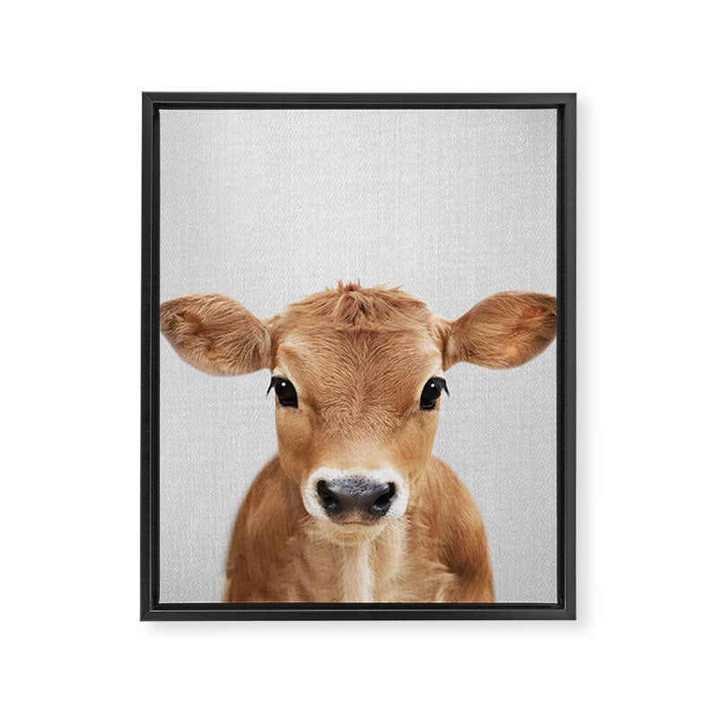 Calf - Colorful Framed Canvas Print Gallery Image 8