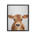 Calf - Colorful Framed Canvas Print Gallery Image 8