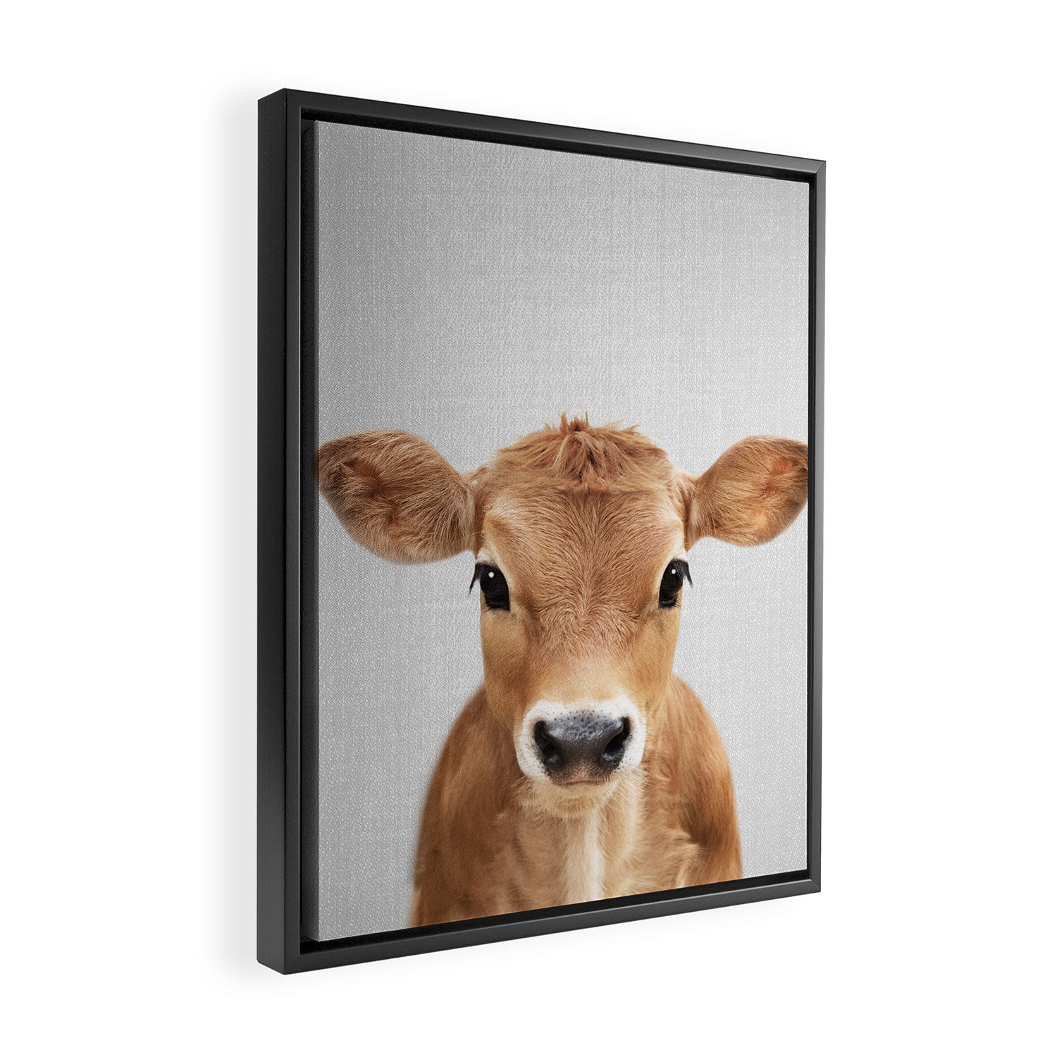 Calf - Colorful Framed Canvas Print Gallery Image 2
