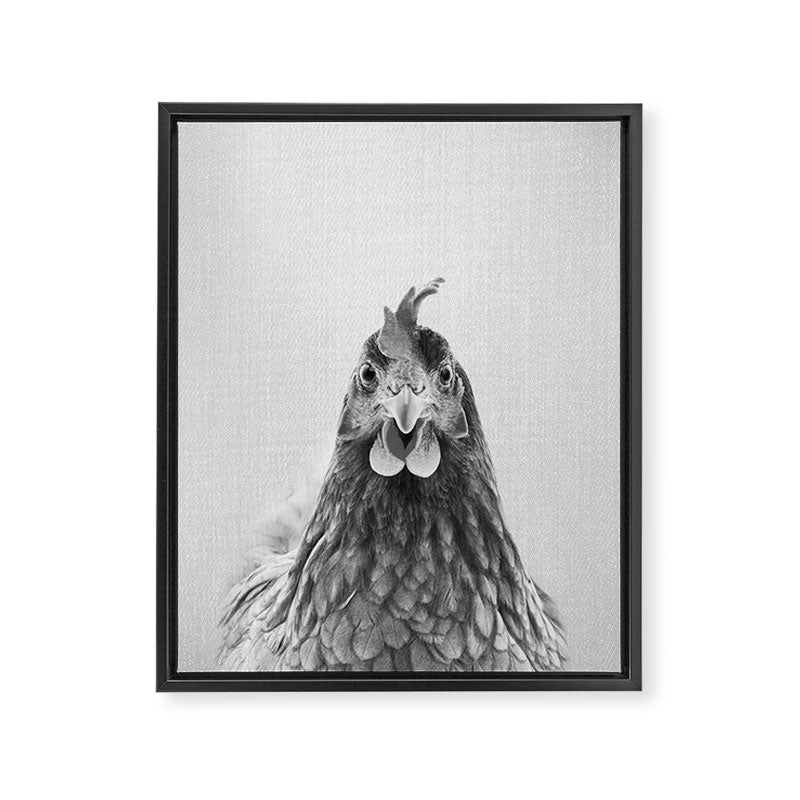 Chicken - Black & White Framed Canvas Print Gallery Image 8