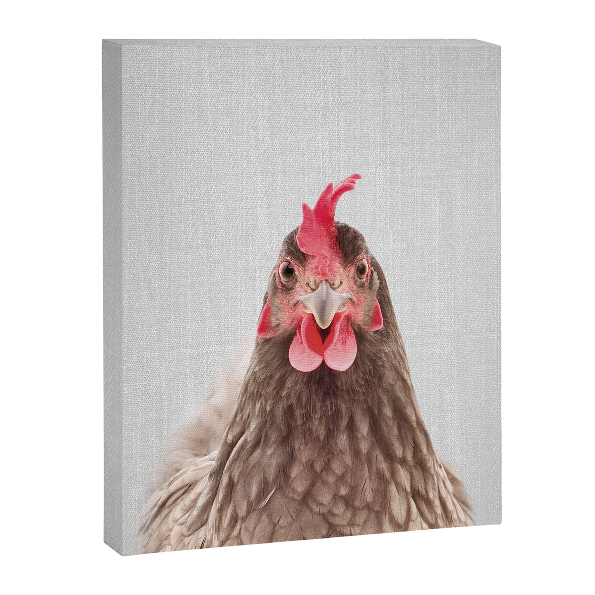 Chicken - Colorful Canvas Print Gallery Image 8