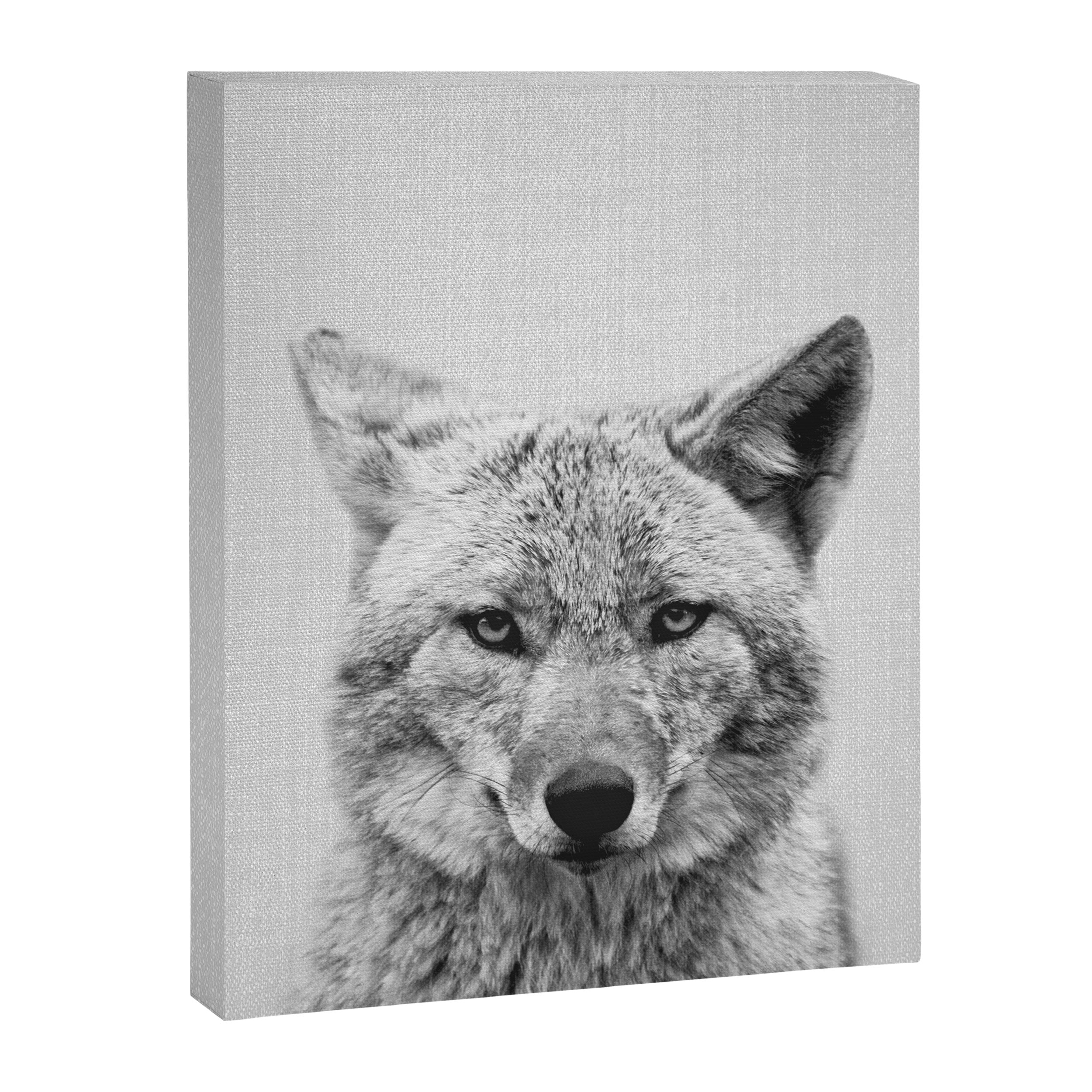 Coyote - Black & White Canvas Print Gallery Image 8