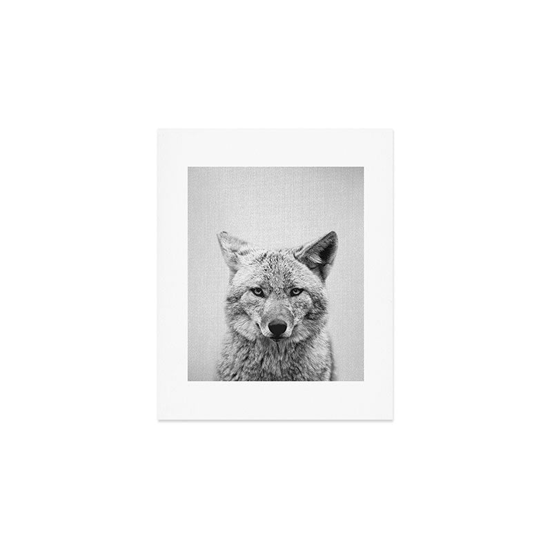Coyote - Black & White Art Print Gallery Image 1