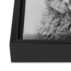 Coyote - Black & White Framed Canvas Print Gallery Image 3