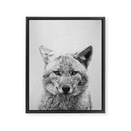 Coyote - Black & White Framed Canvas Print Gallery Image 8