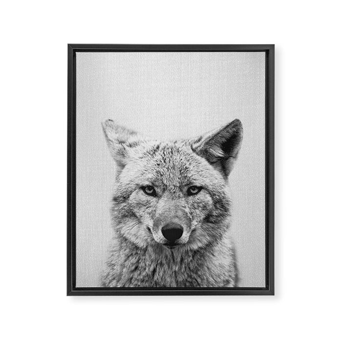 Coyote - Black & White Framed Canvas Print Gallery Image 1