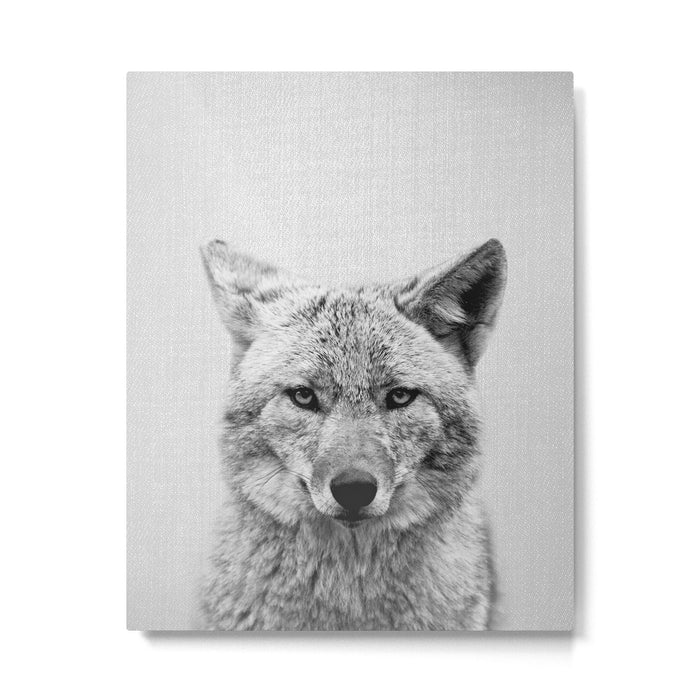 Coyote - Black & White Metal Print Gallery Image 1