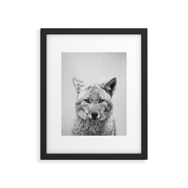 Coyote - Black & White Framed Art Print Gallery Image 1