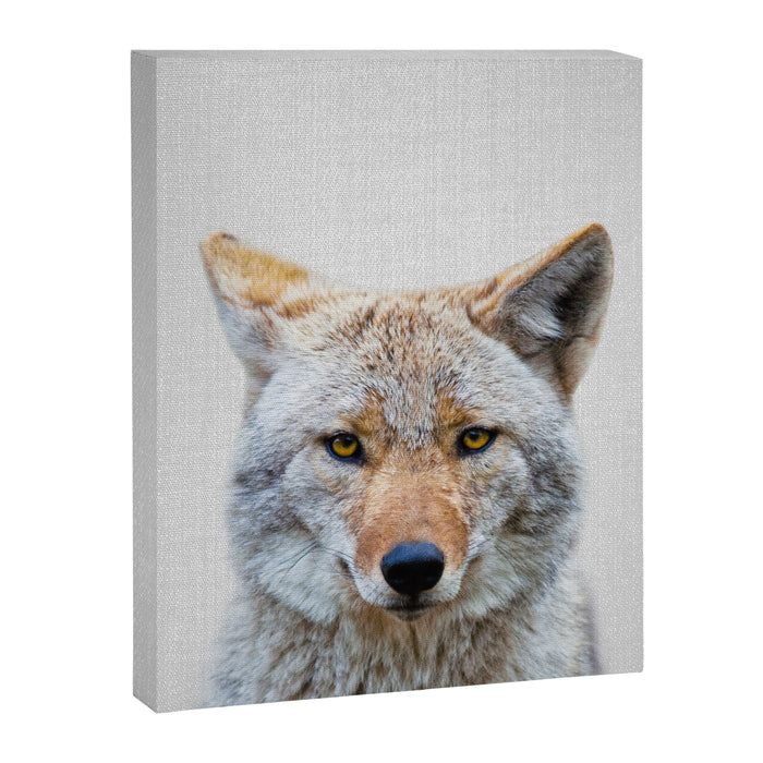 Coyote - Colorful Canvas Print Gallery Image 1
