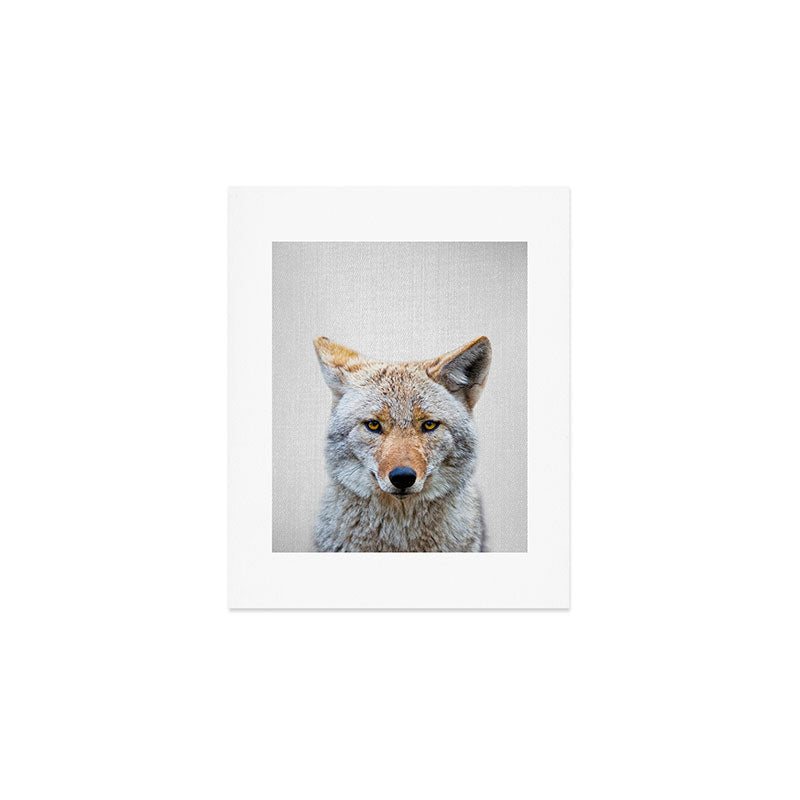 Coyote - Colorful Art Print Gallery Image 1