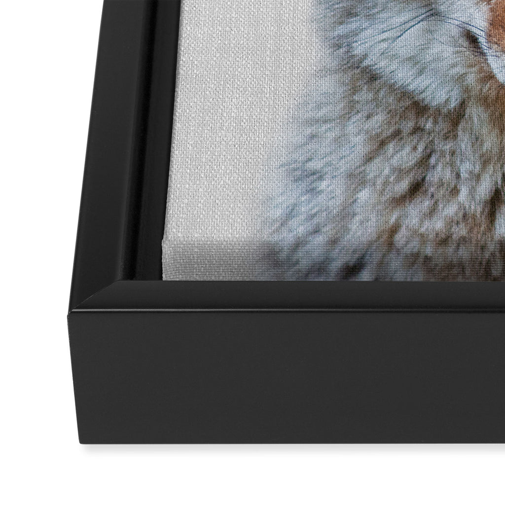 Coyote - Colorful Framed Canvas Print Gallery Image 3