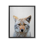 Coyote - Colorful Framed Canvas Print Gallery Image 8