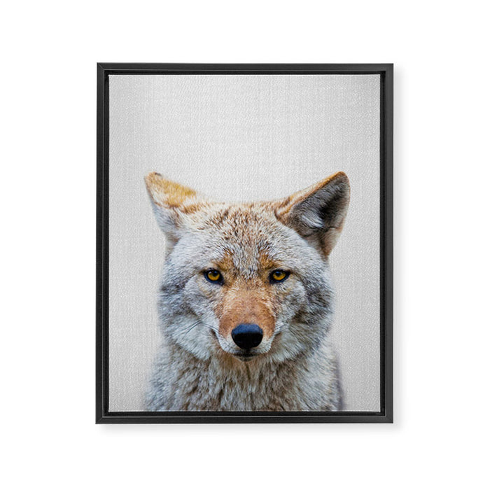 Coyote - Colorful Framed Canvas Print Gallery Image 1