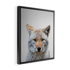 Coyote - Colorful Framed Canvas Print Gallery Image 2