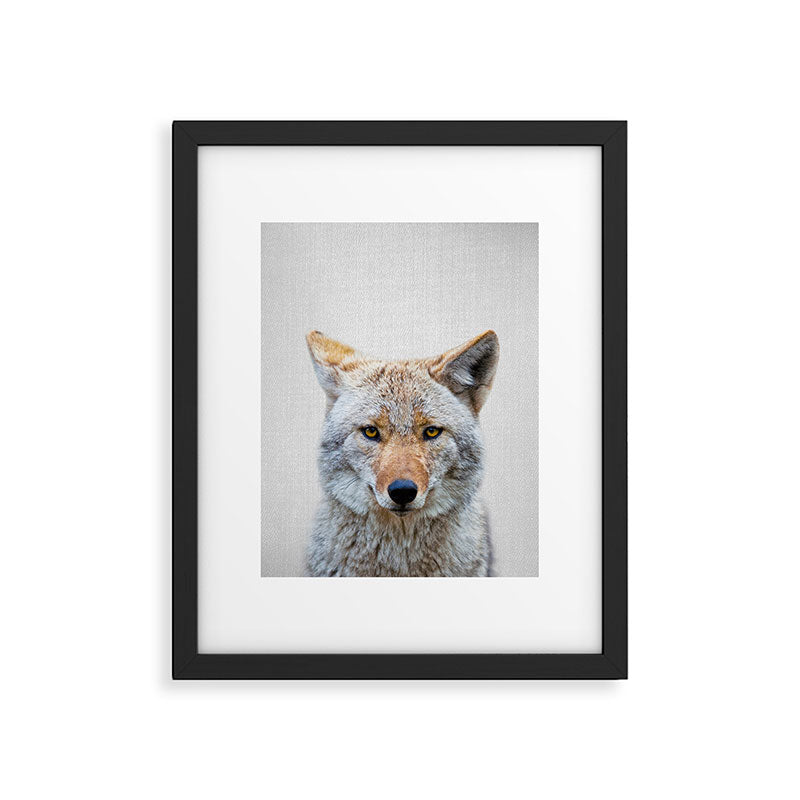 Coyote - Colorful Framed Art Print Gallery Image 4