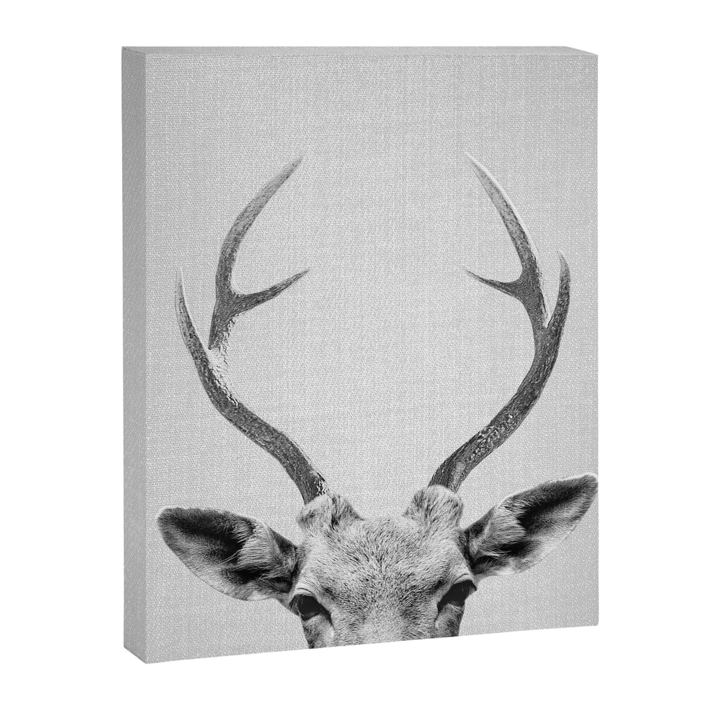 Deer - Black & White Canvas Print Gallery Image 8