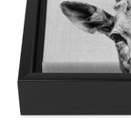 Deer - Black & White Framed Canvas Print Gallery Image 3