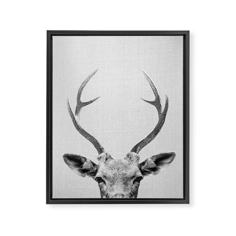 Deer - Black & White Framed Canvas Print Gallery Image 8