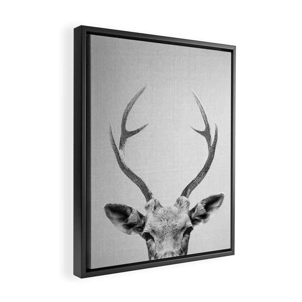 Deer - Black & White Framed Canvas Print Gallery Image 2