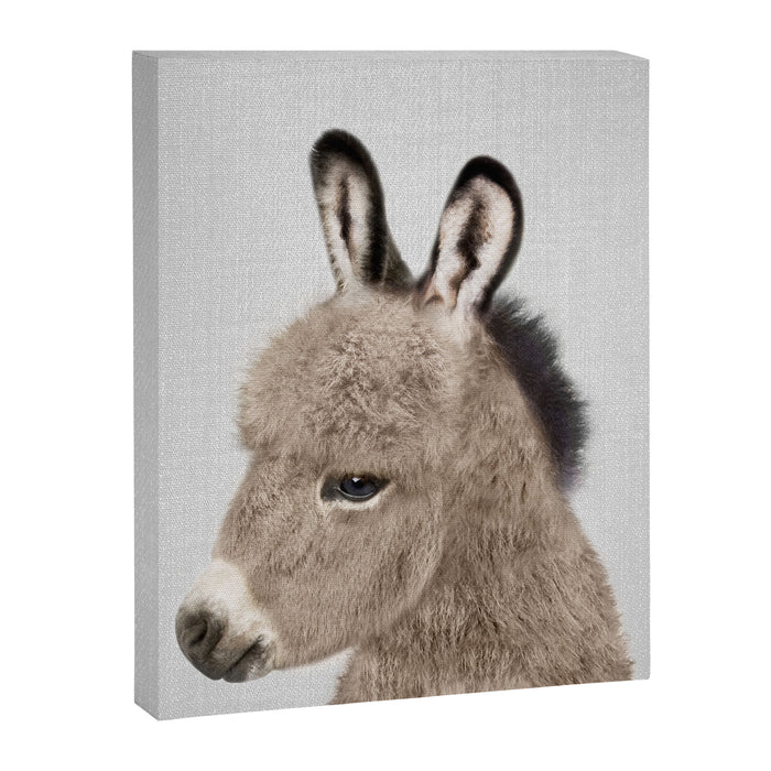 Donkey - Colorful Canvas Print Gallery Image 1