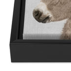Donkey - Colorful Framed Canvas Print Gallery Image 3
