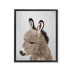Donkey - Colorful Framed Canvas Print Gallery Image 8