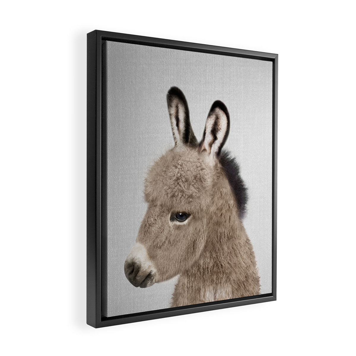 Donkey - Colorful Framed Canvas Print Gallery Image 2