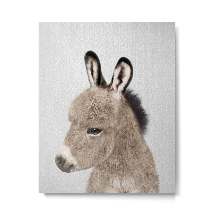 Donkey - Colorful Metal Print Gallery Image 1