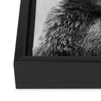 Grizzly Bear - Black & White Framed Canvas Print Gallery Image 3