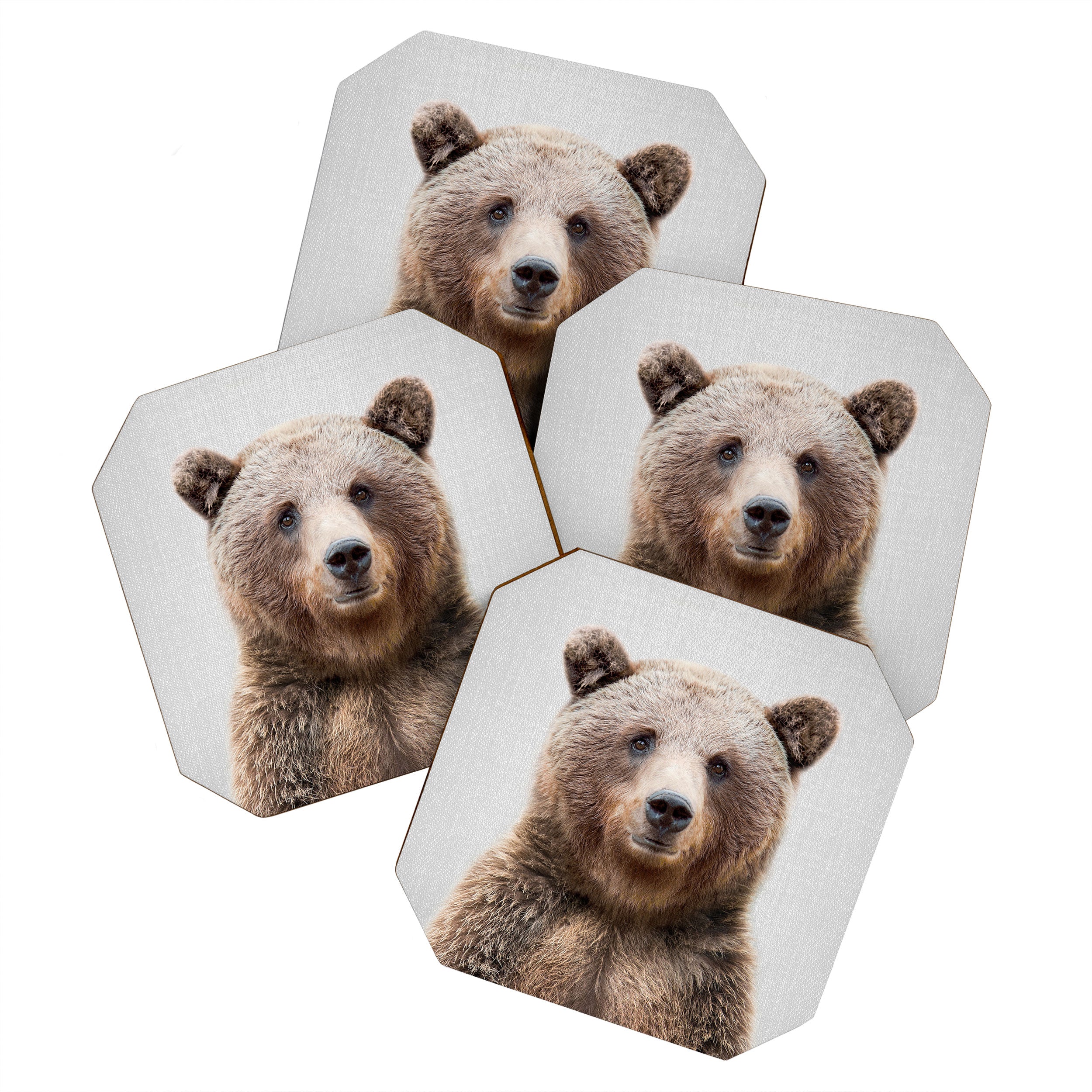 Grizzly Bear - Colorful Coaster Gallery Image 1
