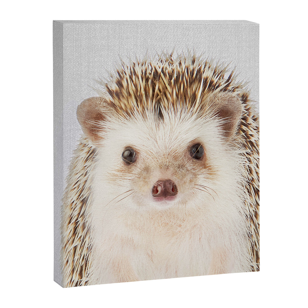 Hedgehog - Colorful Canvas Print Gallery Image 8