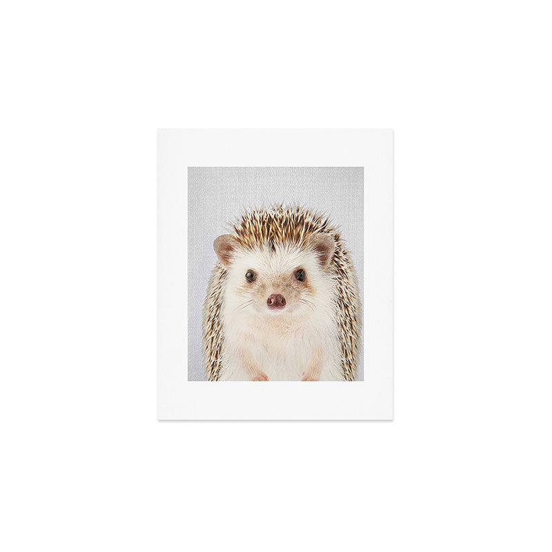 Hedgehog - Colorful Art Print Gallery Image 1