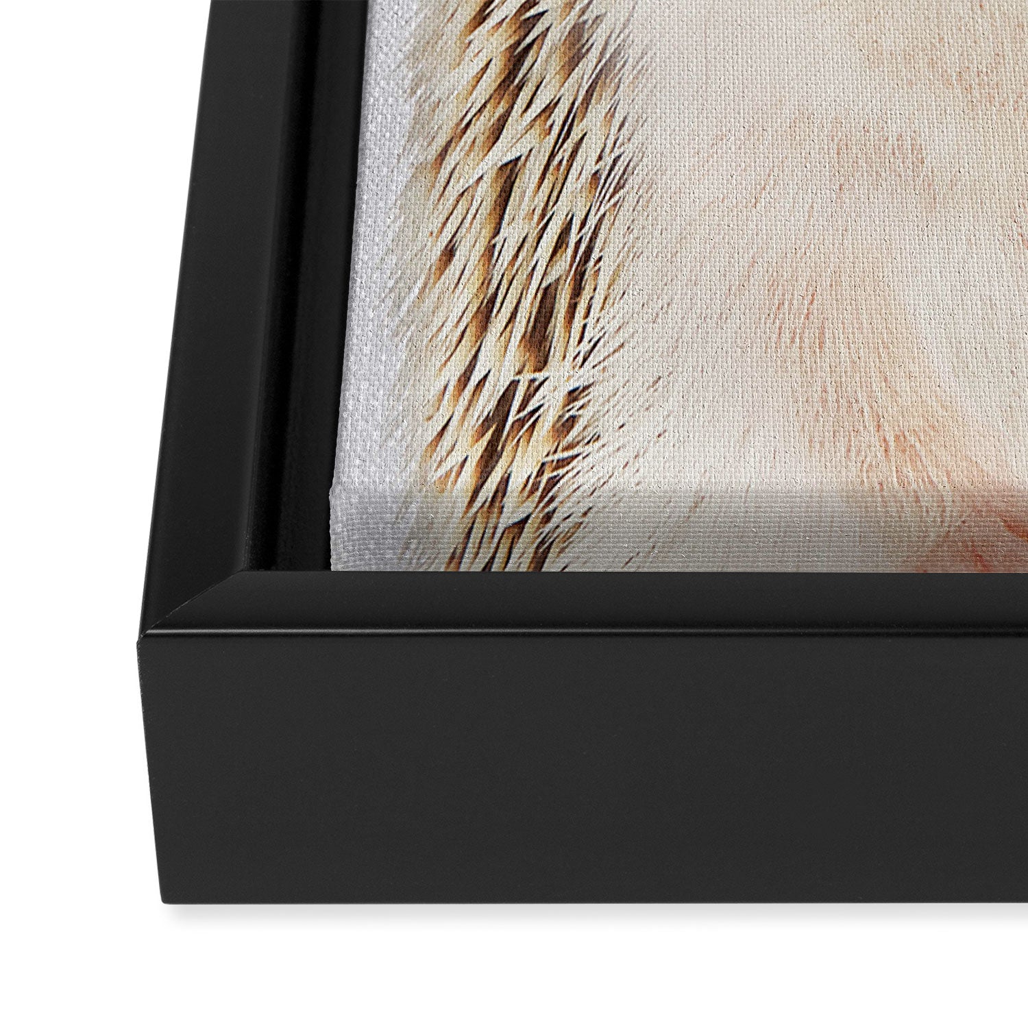 Hedgehog - Colorful Framed Canvas Print Gallery Image 3