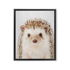 Hedgehog - Colorful Framed Canvas Print Gallery Image 8