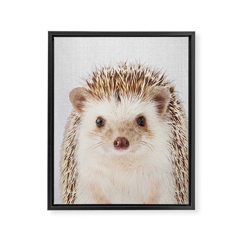 Hedgehog - Colorful Framed Canvas Print Gallery Image 8