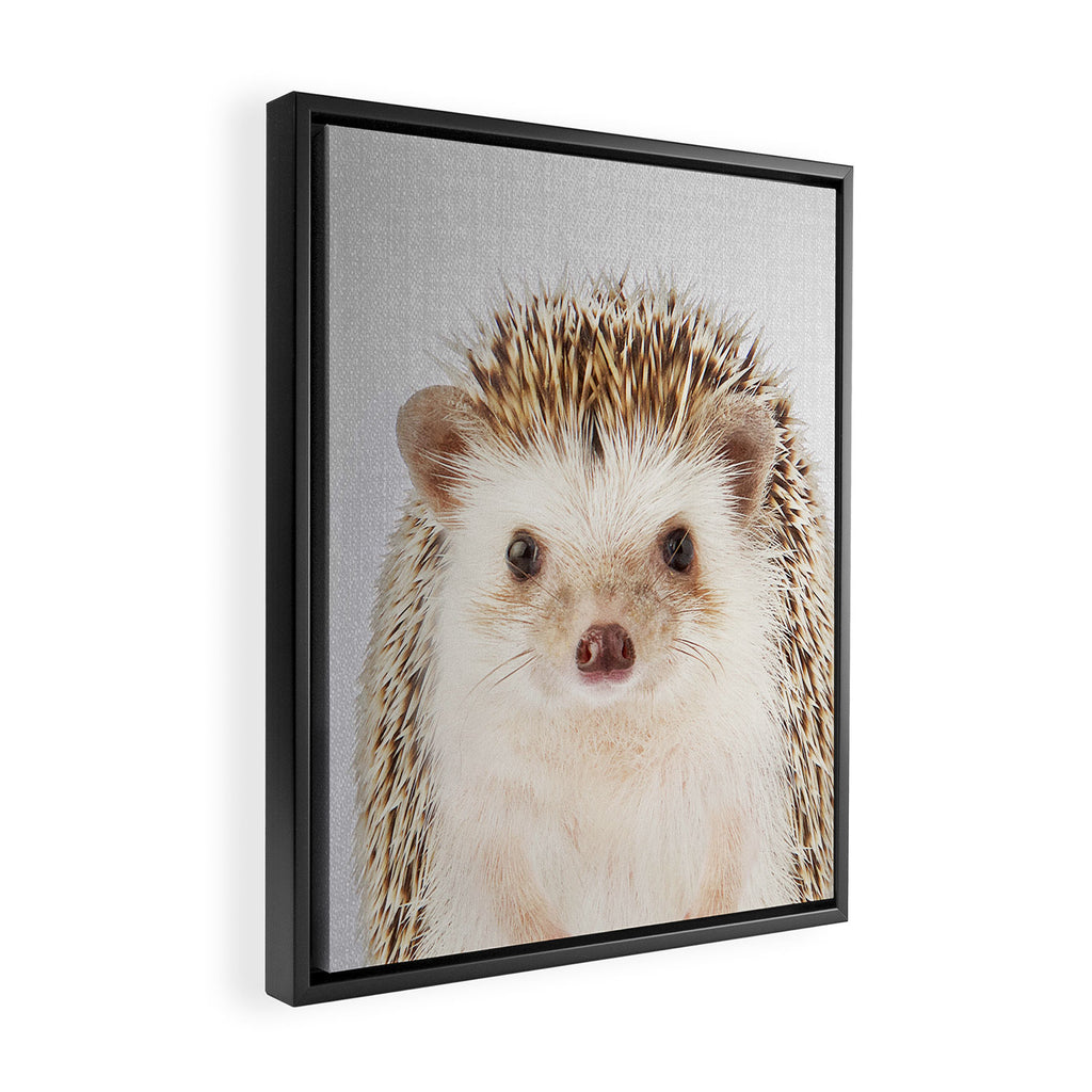 Hedgehog - Colorful Framed Canvas Print Gallery Image 2