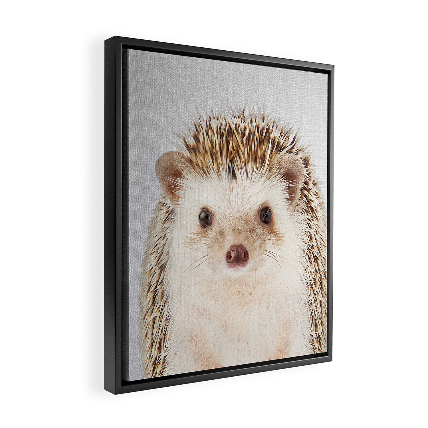 Hedgehog - Colorful Framed Canvas Print Gallery Image 2