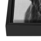 Highland Cow - Black & White Framed Canvas Print Gallery Image 3