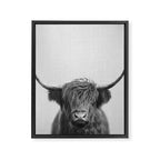 Highland Cow - Black & White Framed Canvas Print Gallery Image 8