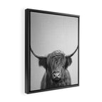 Highland Cow - Black & White Framed Canvas Print Gallery Image 2