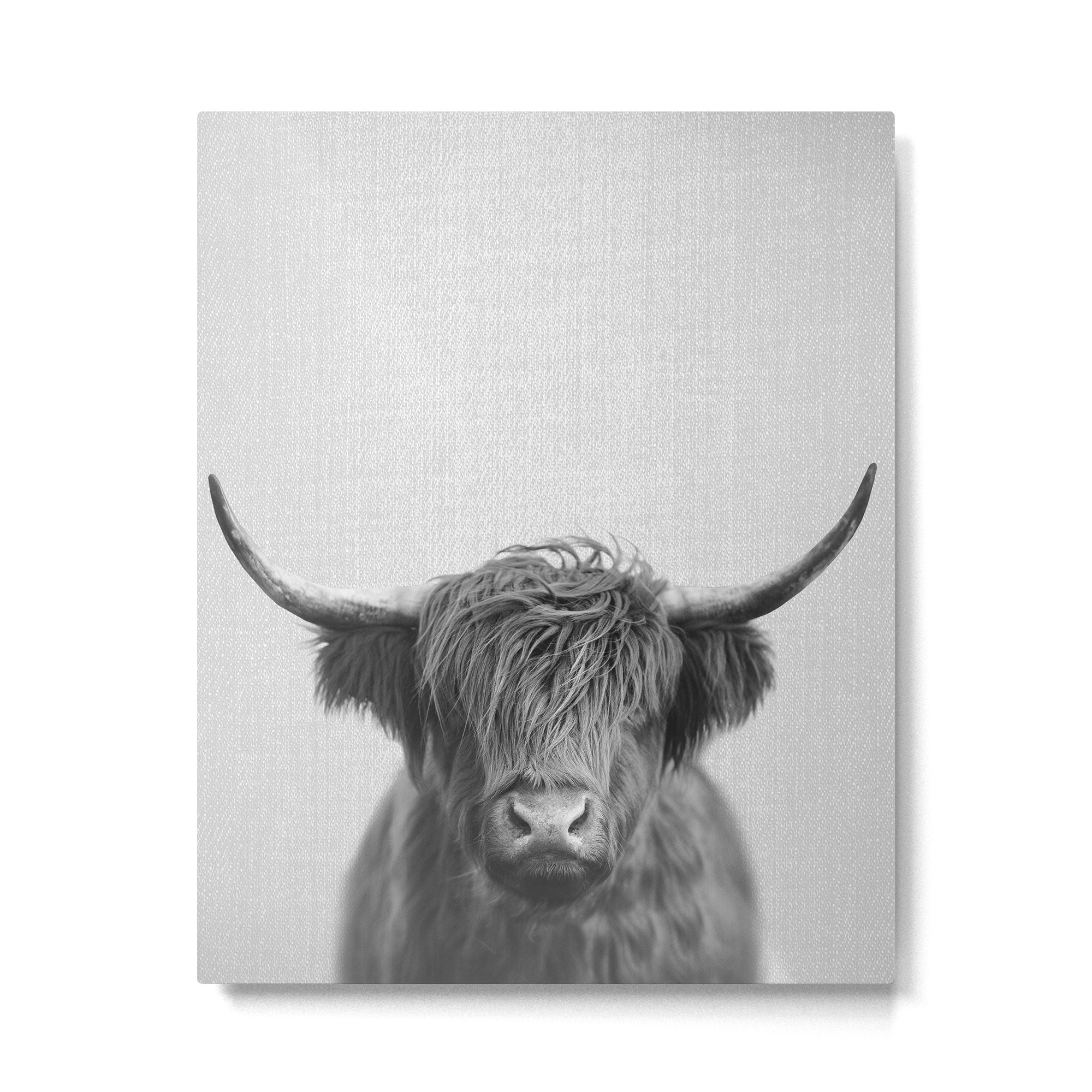 Highland Cow - Black & White Metal Print Gallery Image 6